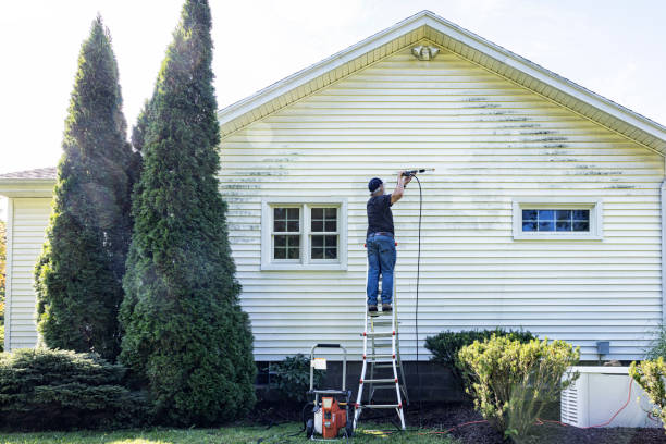 Best Pressure Washing Siding  in Walhalla, SC